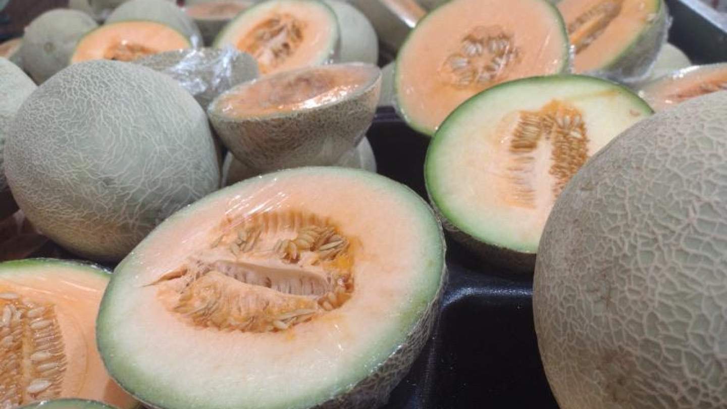 Descartan Senasica y Cofepris que el melón sonorense fuera causante de brote de salmonella en Estados Unidos y Canadá